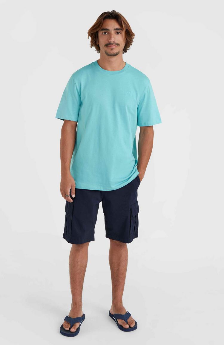 O'NEILL O'NEILL Essentials Shorts Herren - outer space - 0 | SportScheck