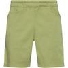 Black Diamond NOTION Kletterhose Herren - cedarwood green