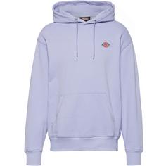 Dickies Millersburg Hoodie Herren cosmic sky