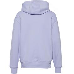 Rückansicht von Dickies Millersburg Hoodie Herren cosmic sky