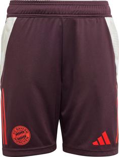 adidas FC Bayern München Fußballshorts Kinder shadow maroon-red