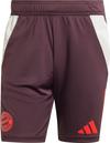 adidas FC Bayern M&uuml;nchen Fu&szlig;ballshorts Herren - shadow maroon-red