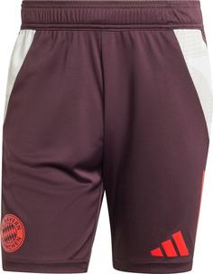 adidas FC Bayern München Fußballshorts Herren shadow maroon-red