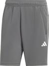 adidas Training Essentials Funktionsshorts Herren - grey five