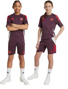 Rückansicht von adidas FC Bayern München Fußballshorts Kinder shadow maroon-red