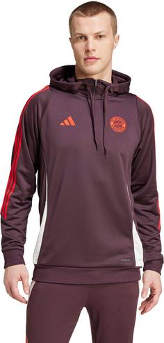 Rückansicht von adidas FC Bayern München Hoodie Herren shadow maroon-red