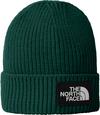 The North Face BOX LOGO Beanie Kinder - evergreen