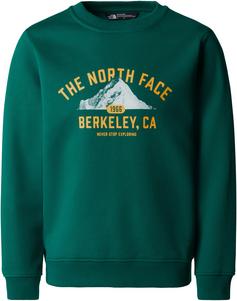 The North Face VARSITY Sweatshirt Kinder evergreen