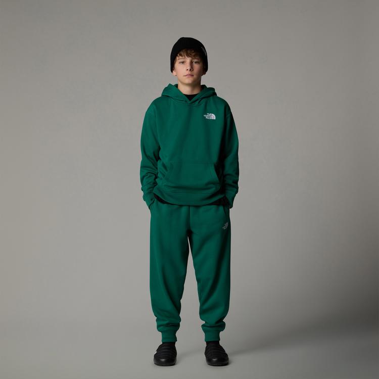 The North Face The North Face ESSENTIAL Hoodie Kinder - evergreen - 0 | SportScheck