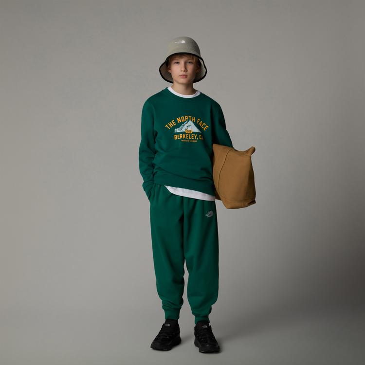 The North Face The North Face VARSITY Sweatshirt Kinder - evergreen - 0 | SportScheck