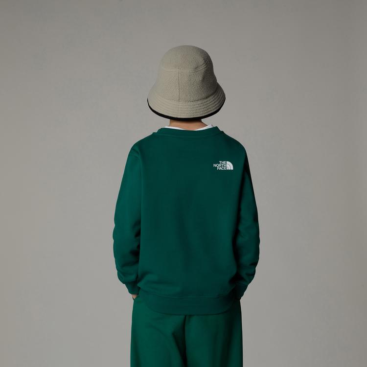 The North Face The North Face VARSITY Sweatshirt Kinder - evergreen - 1 | SportScheck