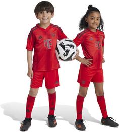 Rückansicht von adidas FC Bayern München 24-25 Heim Fußballtrikot Kinder red
