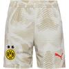 PUMA Borussia Dortmund 24-25 Heim Fu&szlig;ballshorts Kinder - alpine snow-putty