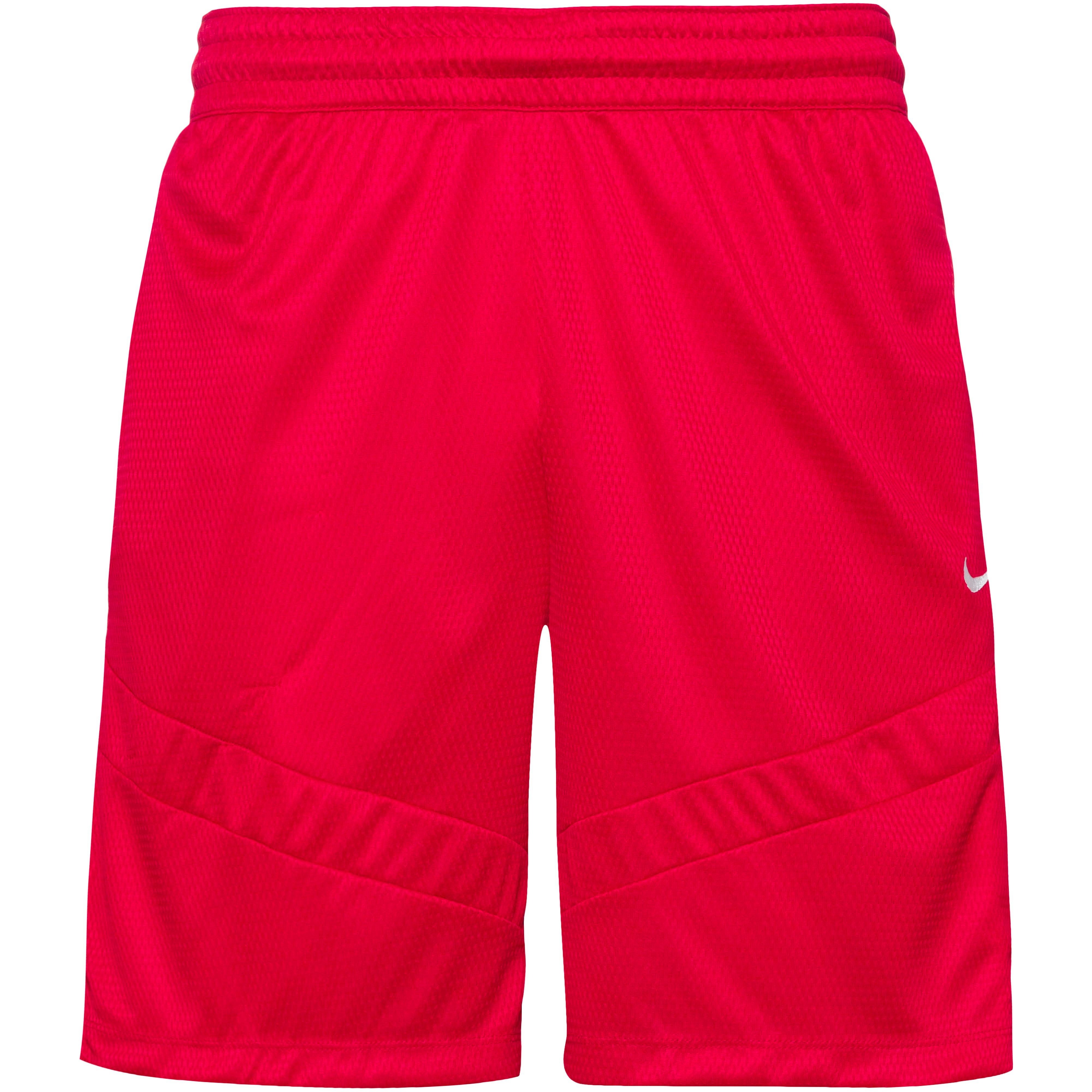 Nike ICON Basketball-Shorts Herren