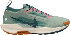 Nike GTX PEGASUS TRAIL 5 GTX Trailrunning Schuhe Herren jade horizon-armory navy-bicoastal