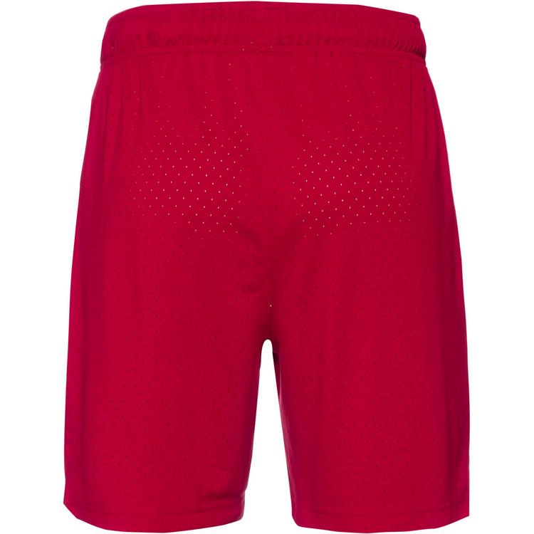 Nike Nike Sport Jumpman Basketball-Shorts Herren - gym red-black - 0 | SportScheck