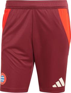 adidas FC Bayern München Fußballshorts Herren shadow red-red