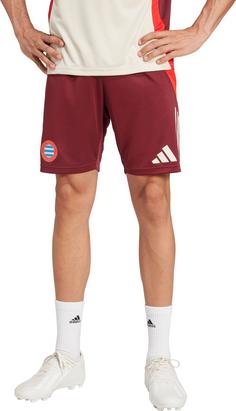 Rückansicht von adidas FC Bayern München Fußballshorts Herren shadow red-red