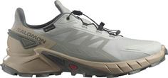 Salomon GTX SUPERCROSS 4 Multifunktionsschuhe Herren metal-white pepper-sedona sage