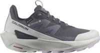 Salomon ELIXIR ACTIV GTX Multifunktionsschuhe Damen - india ink-glacier gray-orchid petal