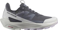 Salomon GTX ELIXIR ACTIV GTX Multifunktionsschuhe Damen india ink-glacier gray-orchid petal