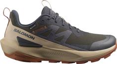 Salomon GTX ELIXIR ACTIV GTX Multifunktionsschuhe Herren phantom-safari-caramel cafe