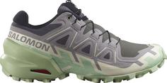 Salomon SPEEDCROSS 6 Trailrunning Schuhe Damen castlerock-vanilla ice-smoke green