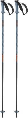 Salomon POLAR PRO Stock - black-copen blue