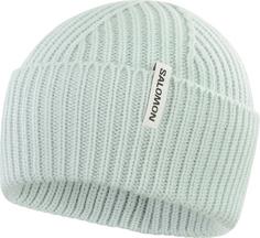 Salomon SNOWBIRD Beanie misty blue