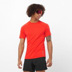 Rückansicht von Salomon CROSS RUN Funktionsshirt Herren cherry tomato-north atlantic