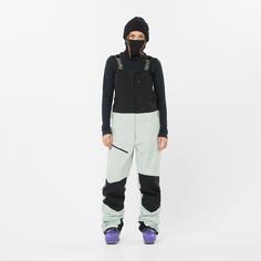 Rückansicht von Salomon GORE-TEX MOON PATROL Skihose Damen misty blue-deep black