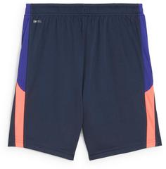 Rückansicht von PUMA Individual LIGA Funktionsshorts Kinder club navy