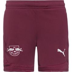 PUMA RB Leipzig Fußballshorts Kinder dark jasper-puma white