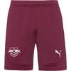 PUMA RB Leipzig Fu&szlig;ballshorts Herren - dark jasper-puma white