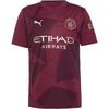 PUMA Manchester City 24-25 3rd Teamtrikot Herren - dark jasper