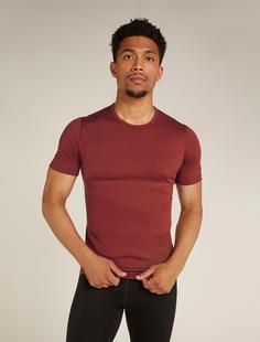 Rückansicht von Icebreaker Merino 200 Oasis Funktionsshirt Herren port