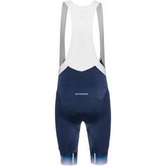 Rückansicht von GOREWEAR C5 Fade+ Bibtights Herren orbit blue-white