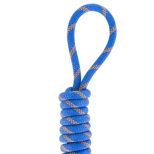 Rückansicht von Mammut 9.0 Alpine Sender Dry Rope Kletterseil ice sunrise