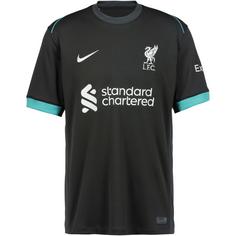 Nike FC Liverpool 24-25 Auswärts Fußballtrikot Herren night forest-anthracite-washed teal-sail