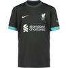 Nike FC Liverpool 24-25 Ausw&auml;rts Teamtrikot Kinder - night forest-anthracite-washed teal-sail