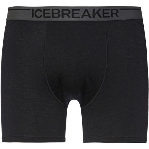 Icebreaker 150 Anatomica Unterhose Herren