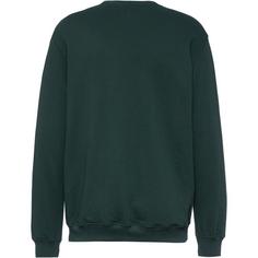 Rückansicht von Vans Off the Wall Board Sweatshirt Herren green gables