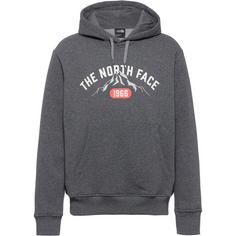 The North Face VARSITY Hoodie Herren tnf medium grey heather