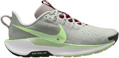 Nike REACTX PEGASUS TRAIL 5 Trailrunning Schuhe Herren light silver-barely volt-college grey