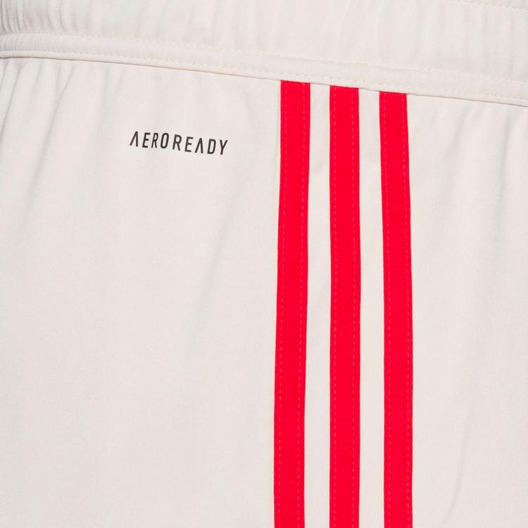 adidas adidas FC Bayern M&uuml;nchen 24-25 3rd Fu&szlig;ballshorts Herren - linen - 0 | SportScheck