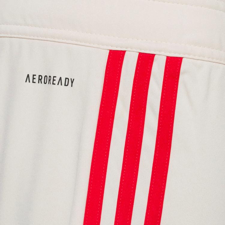 adidas adidas FC Bayern M&uuml;nchen 24-25 3rd Fu&szlig;ballshorts Kinder - linen - 0 | SportScheck