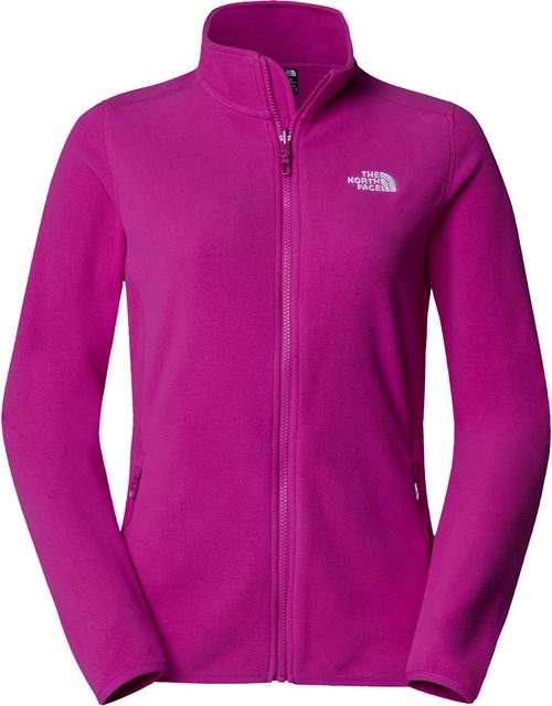 The North Face 100 GLACIER Fleecejacke Damen