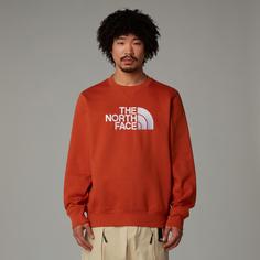 Rückansicht von The North Face DREW PEAK Sweatshirt Herren earthen copper