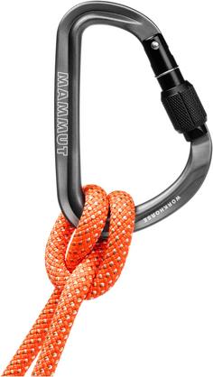 Rückansicht von Mammut Workhorse HMS Screwgate Carabiner Karabiner screw gate
