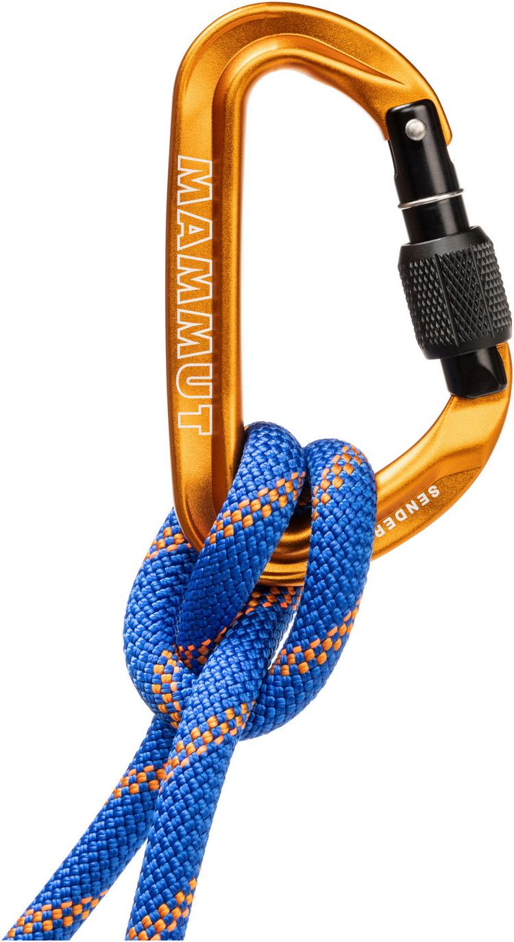 Mammut Mammut Sender Screwgate Carabiner Karabiner - screw gate - 0 | SportScheck